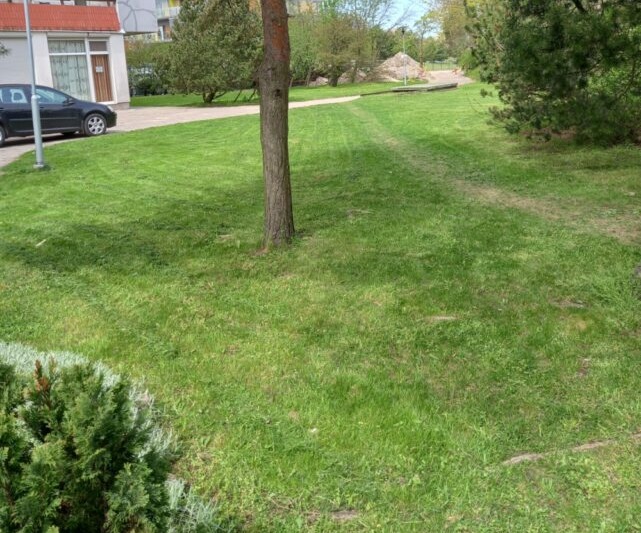 Nutarimas dėl žolės nupjovimo