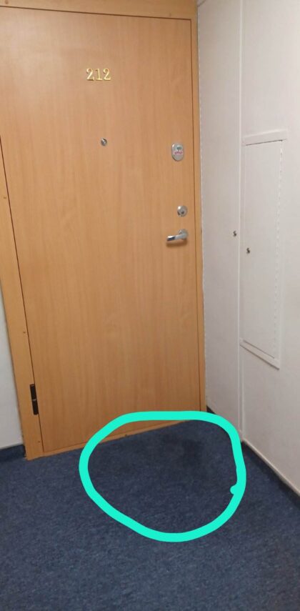 Dėl papildomų išlaidų birželio mėn.