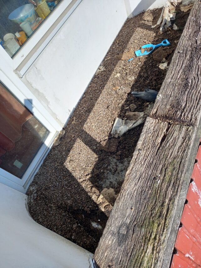 Kur prapuolė kaimynė?